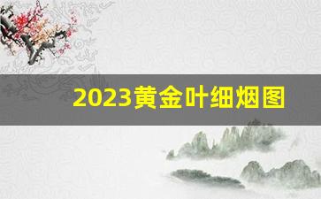 2023黄金叶细烟图片-白盒黄金叶金丝路烟价格表和图片