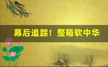 幕后追踪！整箱软中华“夺席谈经”