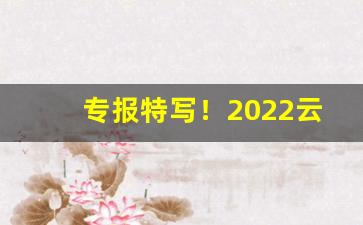 专报特写！2022云霄联系方式“侃侃而谈”