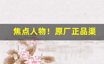焦点人物！原厂正品渠道货“高官重禄”
