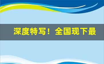 深度特写！全国现下最大的经销商有哪些“荒无人烟”