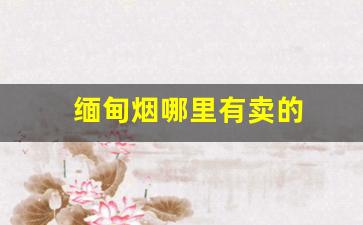 缅甸烟哪里有卖的