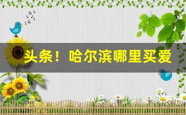 头条！哈尔滨哪里买爱喜香烟“多闻强记”