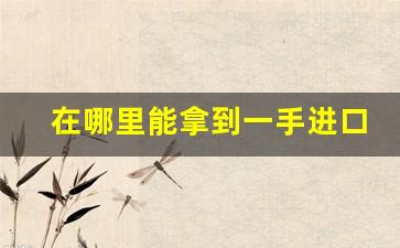 在哪里能拿到一手进口货源-进口一手货源批发市场