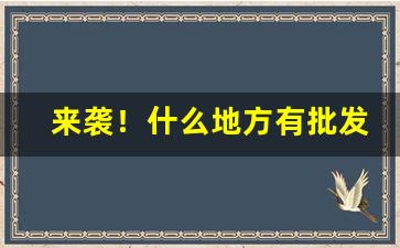 来袭！什么地方有批发熟烟“白发朱颜”