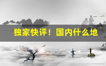 独家快评！国内什么地方可以买到进口香烟“博学多闻”