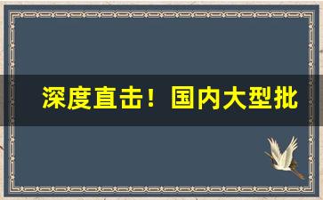 深度直击！国内大型批发超市“抱虎枕蛟”