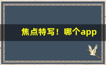 焦点特写！哪个app进货最便宜“黜周王鲁”