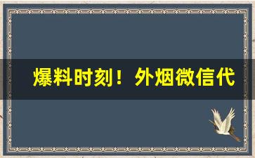 爆料时刻！外烟微信代理一手货源厂家直销价格更低“多难兴邦”