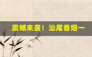 震撼来袭！汕尾香烟一手货源网“不揣冒昧”