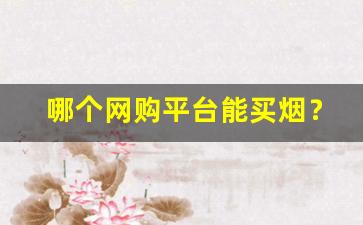 哪个网购平台能买烟？-在哪个官方可以买烟