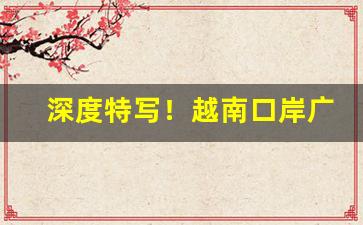 深度特写！越南口岸广西批发市场“不足挂齿”