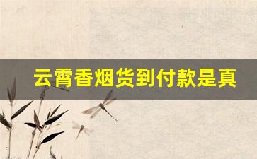 云霄香烟货到付款是真的吗-云霄香烟以假乱真