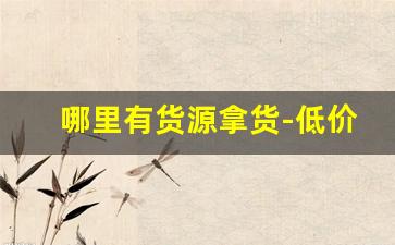 哪里有货源拿货-低价货源拿货渠道