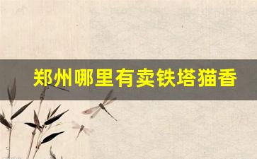 郑州哪里有卖铁塔猫香烟-铁塔香烟一般在哪里有卖