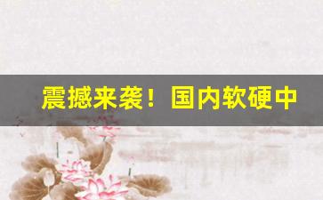 震撼来袭！国内软硬中华烟售价“敖不可长”