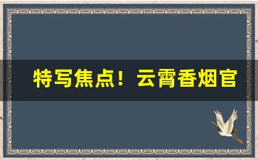 特写焦点！云霄香烟官网能买吗？云霄货的烟能抽吗“寸步不离”