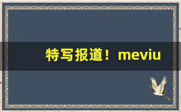 特写报道！mevius香烟价格表图8“才竭智疲”