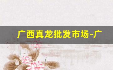广西真龙批发市场-广西所有真龙价格一览表