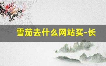 雪茄去什么网站买-长城雪茄官网