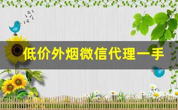 低价外烟微信代理一手货源-进口烟怎么销售