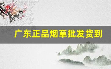 广东正品烟草批发货到付款-烟草一包价格表