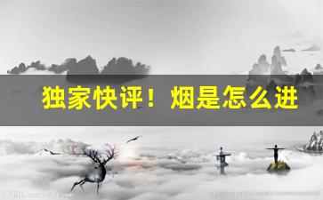独家快评！烟是怎么进货的“病从口入”