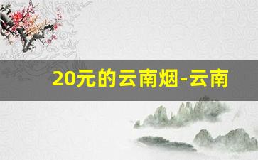 20元的云南烟-云南50块左右的所有烟