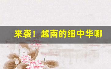 来袭！越南的细中华哪里生产的“疮痍弥目”