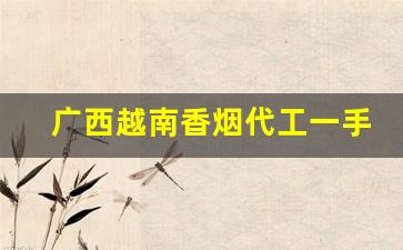 广西越南香烟代工一手货-黑箱越南代工香烟