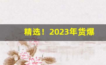 精选！2023年货爆款批发一手货源“层台累榭”