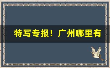 特写专报！广州哪里有烟酒专卖店“单身贵族”