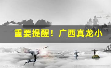 重要提醒！广西真龙小白龙烟多少钱一包“当局者迷”