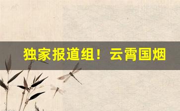 独家报道组！云霄国烟低价一手超市品质“丢魂丢魄”
