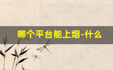 哪个平台能上烟-什么平台能点烟