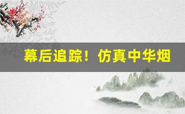 幕后追踪！仿真中华烟批发50元“传神阿堵”