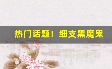热门话题！细支黑魔鬼哪里可以买“椎锋陷陈”
