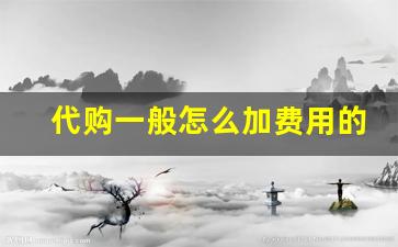 代购一般怎么加费用的-代购一般要哪几项费用