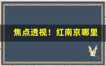 焦点透视！红南京哪里好买“饱以老拳”