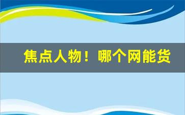 焦点人物！哪个网能货到付款“昂首伸眉”