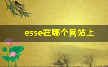 esse在哪个网站上买-普通商店能买到esse吗