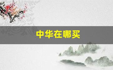 中华在哪买
