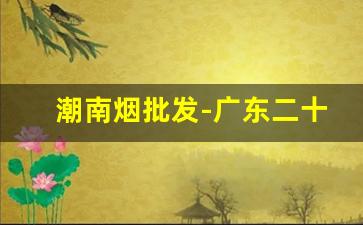 潮南烟批发-广东二十支烟招商