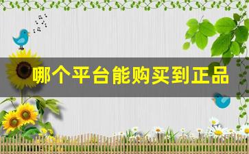 哪个平台能购买到正品-哪个平台卖的东西全是正品