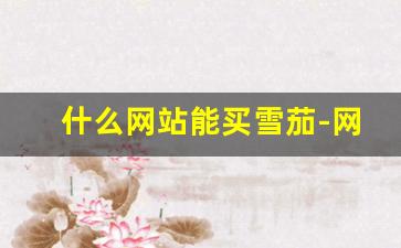 什么网站能买雪茄-网上什么地方可以买到雪茄