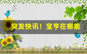 突发快讯！宝亨在哪能买到“刁钻刻薄”