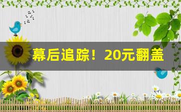 幕后追踪！20元翻盖的烟“半子之靠”