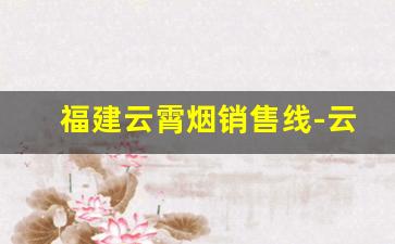 福建云霄烟销售线-云霄烟批发哪里最便宜