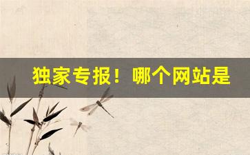 独家专报！哪个网站是正品代购“待字闺中”