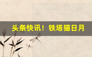 头条快讯！铁塔猫日月双爆在哪买“风平浪静”